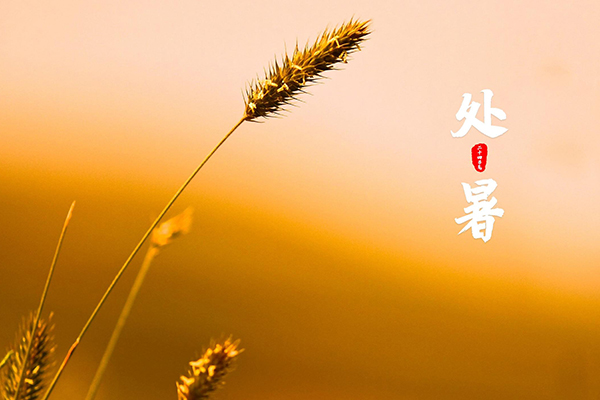 坤钰达机械 | 热暑消散,生活的热爱正酣