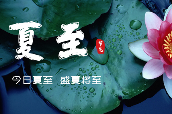坤钰达机械 | 万物繁盛向美好,青翠山色夏正浓